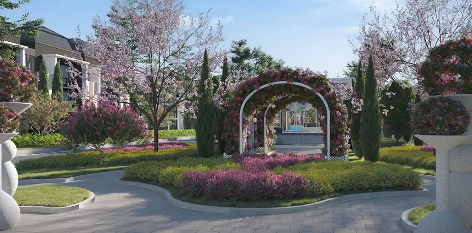 The Armont Type Splendid VIII — Foto 4