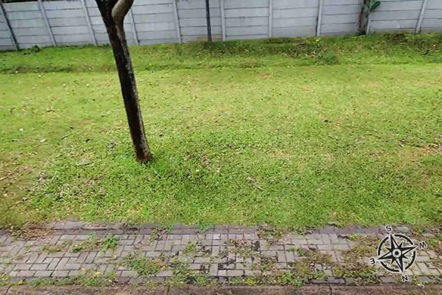 Assana Type 81 Kavling (Northwest) — Foto 6