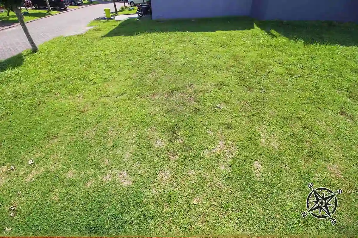 Precia The Eminent Kavling Type 156 — Foto 2